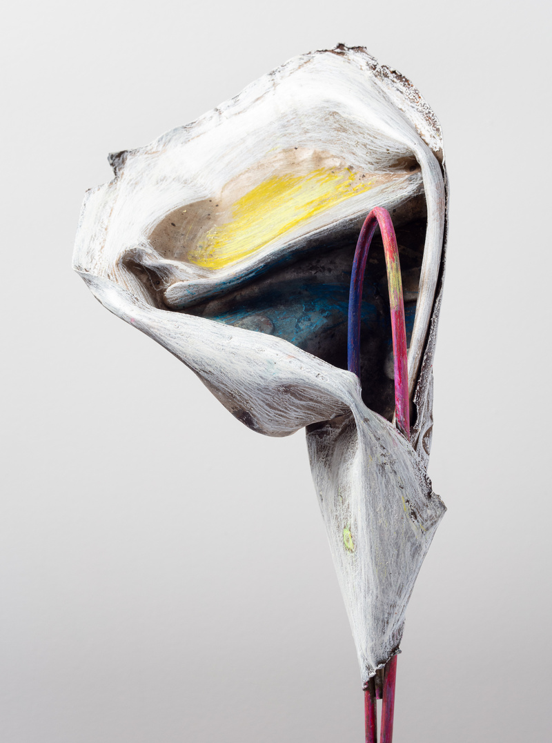 Elisa Lendvay : Studio